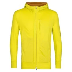 Icebreaker M QUANTUM III LS ZIP HOOD Herren - Wolljacke